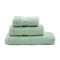 AKIT-R-SPR-035907